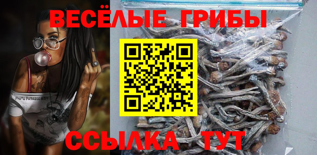 Куйбышев  Псилоцибиновые грибы мухоморы  Галлюциногенные грибы Cubensis  Вход с VPN 